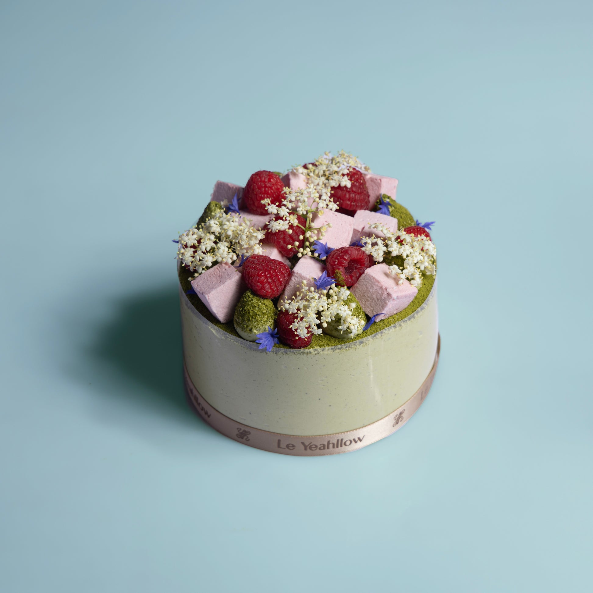 Matcha Garden 抹茶の庭